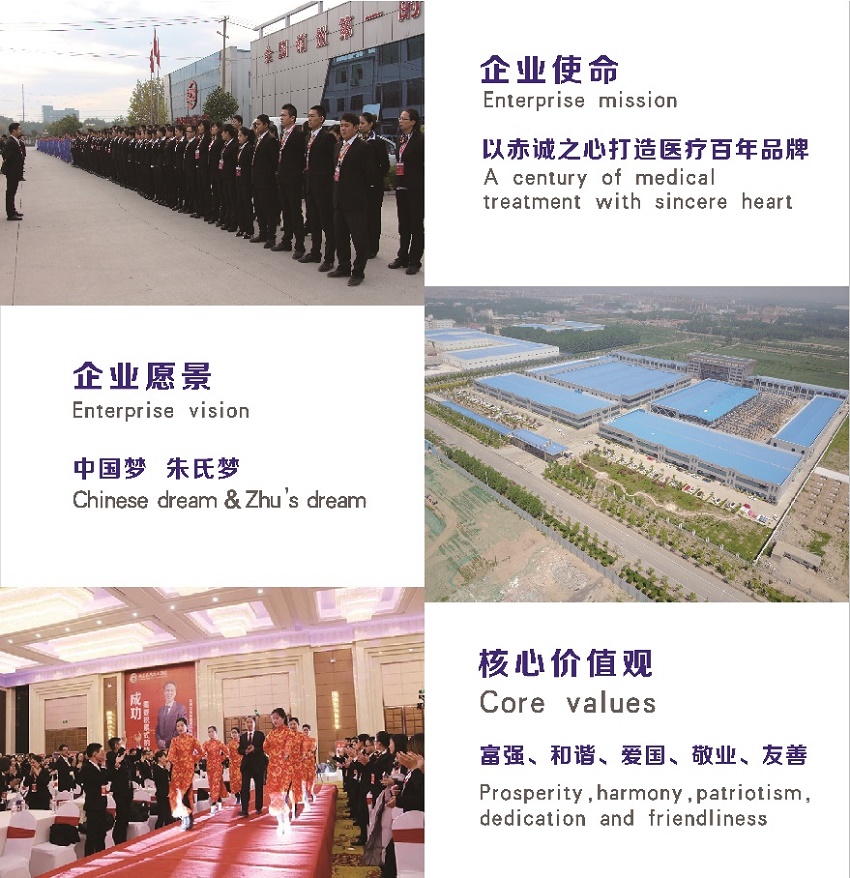 发展历程(图1)